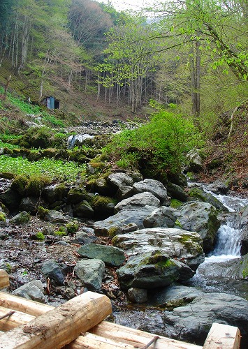 c0119160_94882.jpg