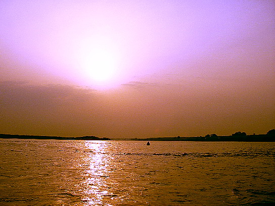 f0084561_1211536.jpg