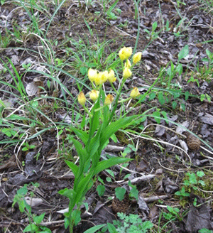 a0086067_10341276.gif