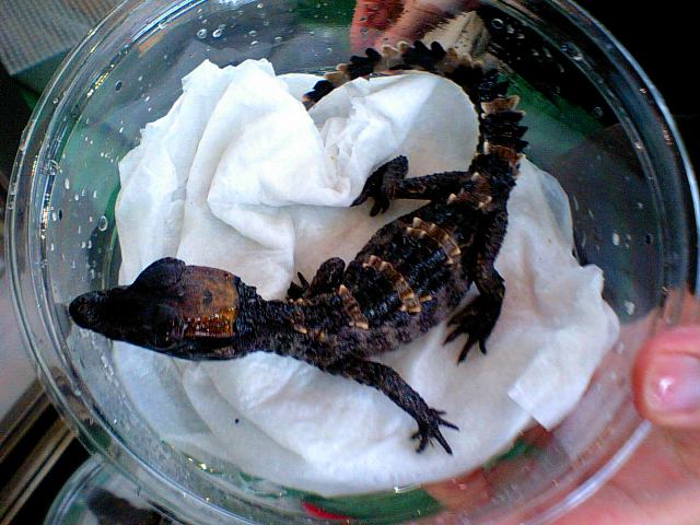 c0105569_0215968.jpg