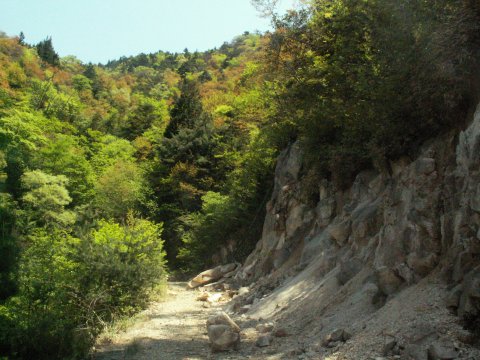 a0060882_202282.jpg