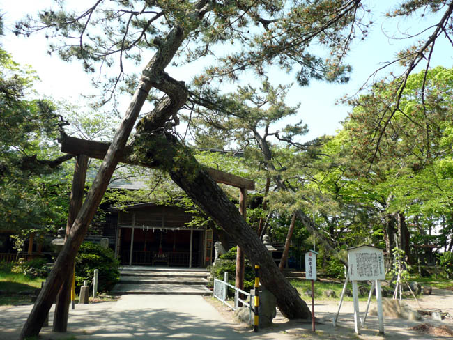 八幡神社の境内_f0150893_21525820.jpg