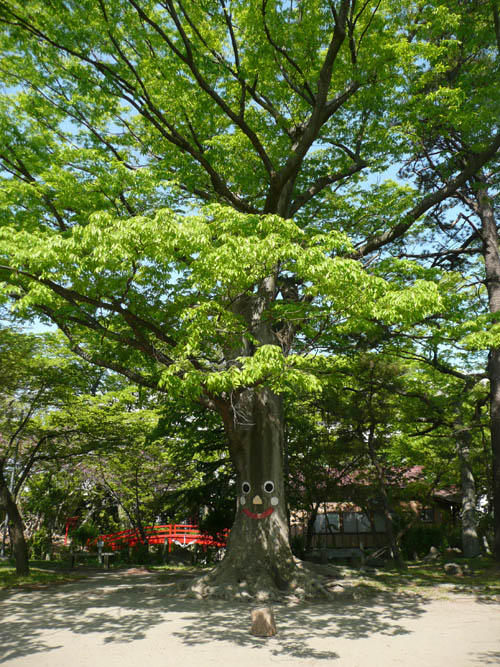 八幡神社の境内_f0150893_21532948.jpg