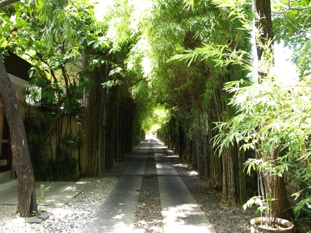 バリ島旅行記　～ホテル編　サヌール地区_e0066495_2103973.jpg