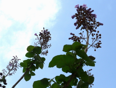 f0146198_13505295.jpg