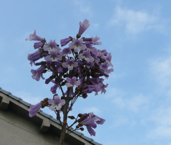 f0146198_13514734.jpg