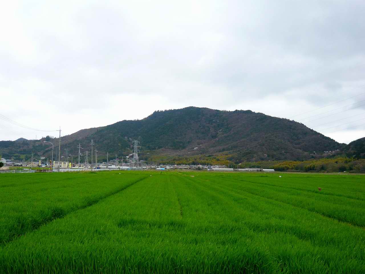 繖山と安土山 山好き的日々 京都北山