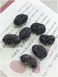 京都おみや もろた … 壱。_b0067302_0263990.jpg