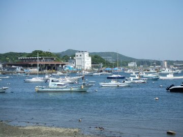 佐島マリーナ芝生席で海鮮昼食_f0120102_13481834.jpg