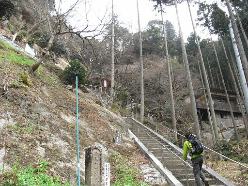 花粉と格闘!!　観音山_b0116703_029266.jpg