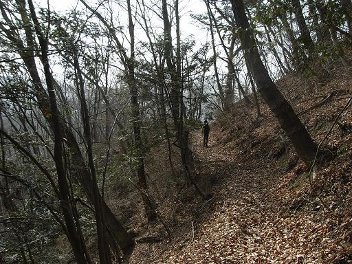 花粉と格闘!!　観音山_b0116703_1433557.jpg