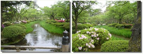 母の日_c0051105_23472335.jpg
