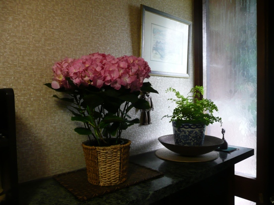 c0097309_11591096.jpg