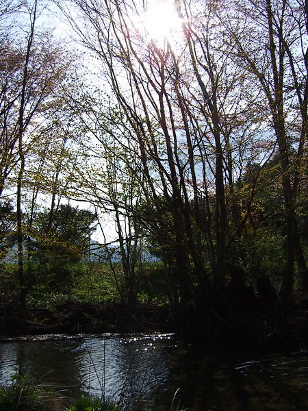 神秘の水面に陽は差して_e0141012_13234281.jpg