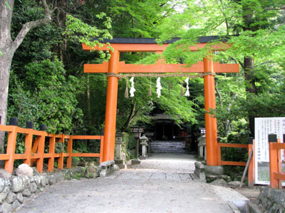 カキツバタ 太田神社_e0048413_20525762.jpg