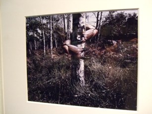 620）　af　「フランク・ゴルドブロン写真展『異なるもの奇異なる物』」　4月8日（火）～5月24日（土）_f0126829_22172497.jpg