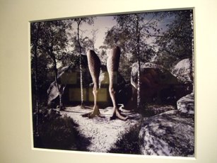 620）　af　「フランク・ゴルドブロン写真展『異なるもの奇異なる物』」　4月8日（火）～5月24日（土）_f0126829_22522781.jpg