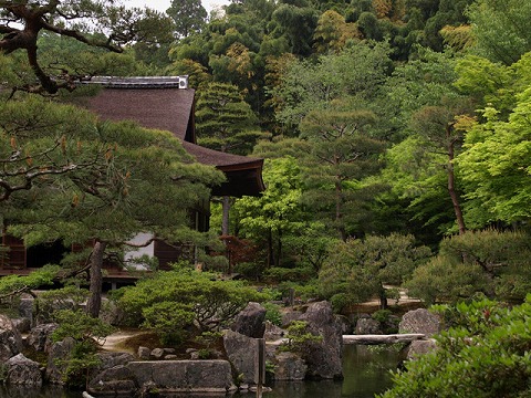 京都へ_c0077531_23441313.jpg