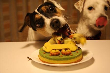 バースデーケーキ_c0099133_24130.jpg