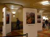 b0123441_9522498.jpg