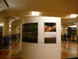 b0123441_9523978.jpg