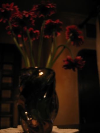 b0072051_27139.jpg