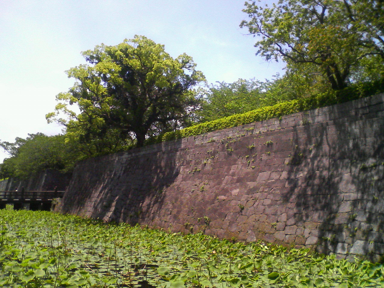 鶴丸城跡（鹿児島城跡）_c0025351_20335045.jpg