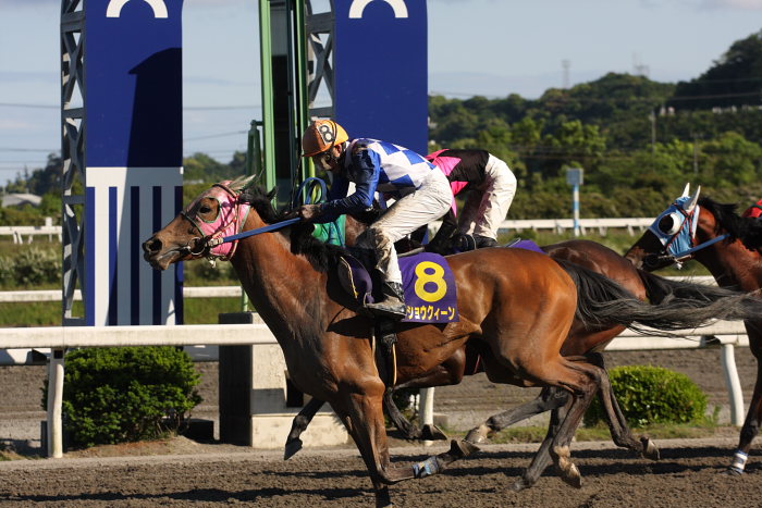 濱田達也騎手、初勝利が重賞制覇！！_a0077663_20203323.jpg