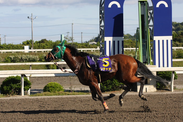 濱田達也騎手、初勝利が重賞制覇！！_a0077663_2021495.jpg