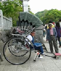 ぼたん　in　鶴岡八幡宮_f0139963_1531938.jpg