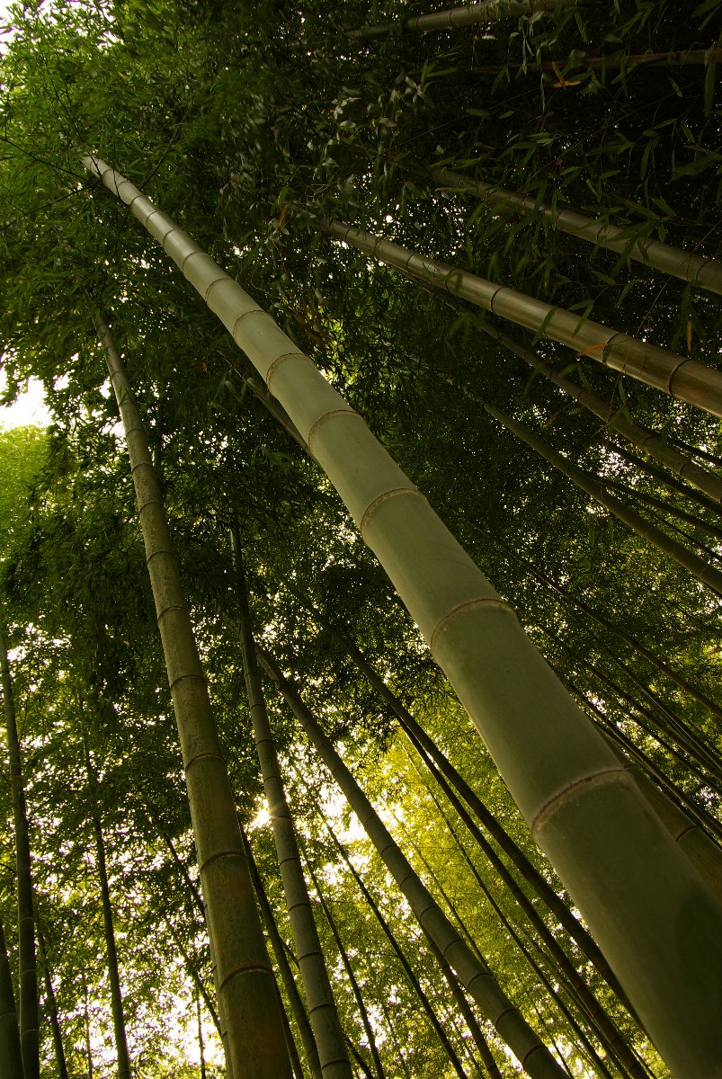 あけぼの山農業公園_f0169170_2013950.jpg