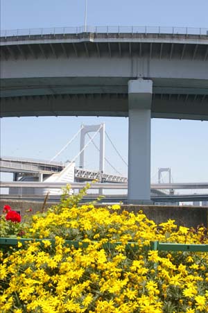 f0024274_1241107.jpg
