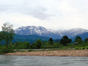 f0161874_20283783.gif