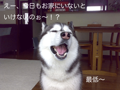 d0087675_1132283.gif