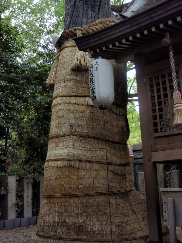 f0008679_210582.jpg