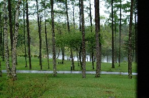 b0132184_21251045.jpg