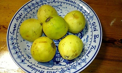 c0047589_02434.jpg