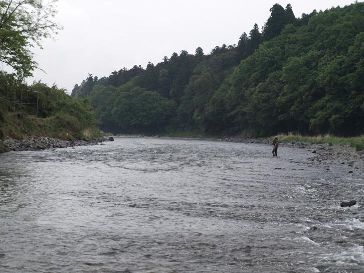 那珂川に大ヤマメを求めて ａｎｇｌｅｒ ｄａｙｓ