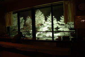 母の日に純白の雪プレゼント_e0120896_741827.jpg