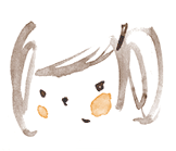 f0136404_1630115.gif