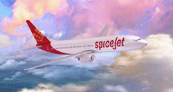 インドの航空会社_f0154706_17564593.gif