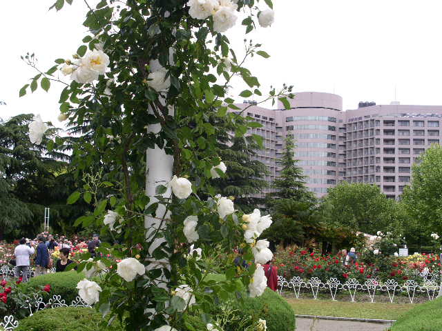 c0152507_5264037.jpg