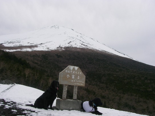 c0097309_1752621.jpg