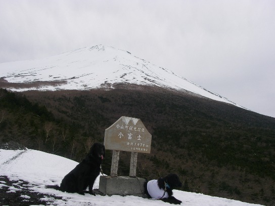 富士山　５合目　　風薫る５月なのに～～？_c0097309_1752621.jpg