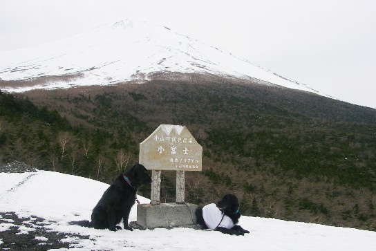 富士山　５合目　　風薫る５月なのに～～？_c0097309_22144637.jpg