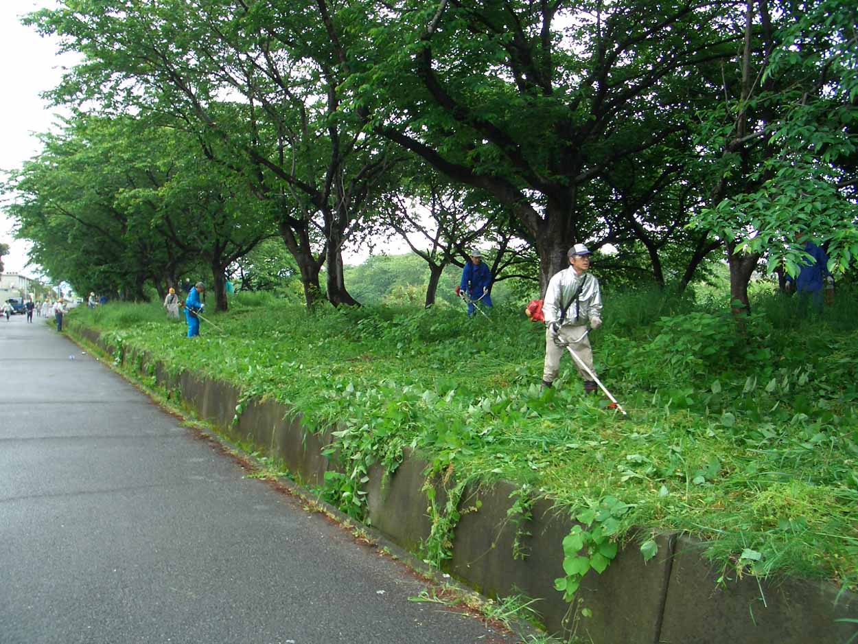 「頭数」がものを言う沼川と田宿川の清掃_f0141310_23472312.jpg