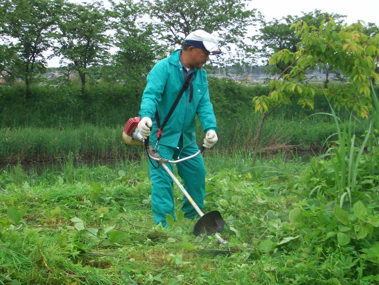 「頭数」がものを言う沼川と田宿川の清掃_f0141310_23484227.jpg