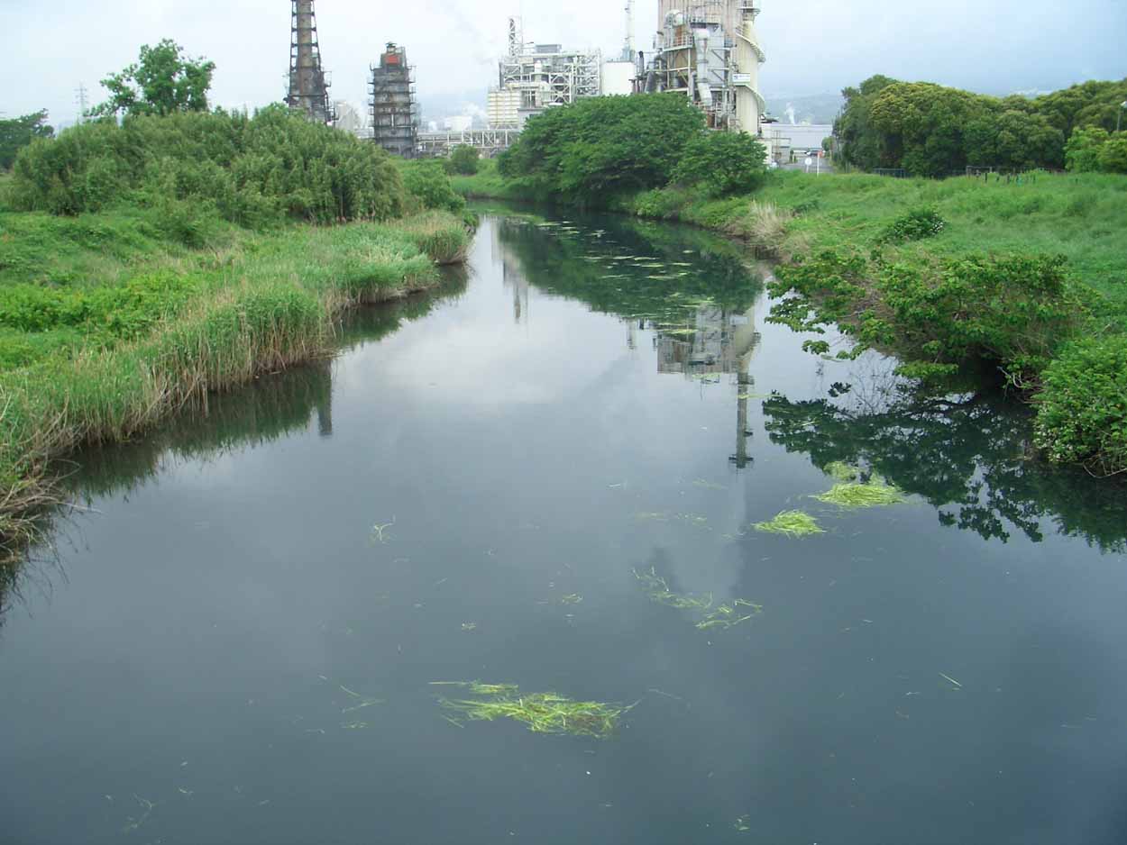 「頭数」がものを言う沼川と田宿川の清掃_f0141310_235263.jpg