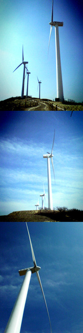 c0158014_0113252.jpg