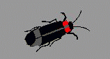 e0069622_20481551.gif